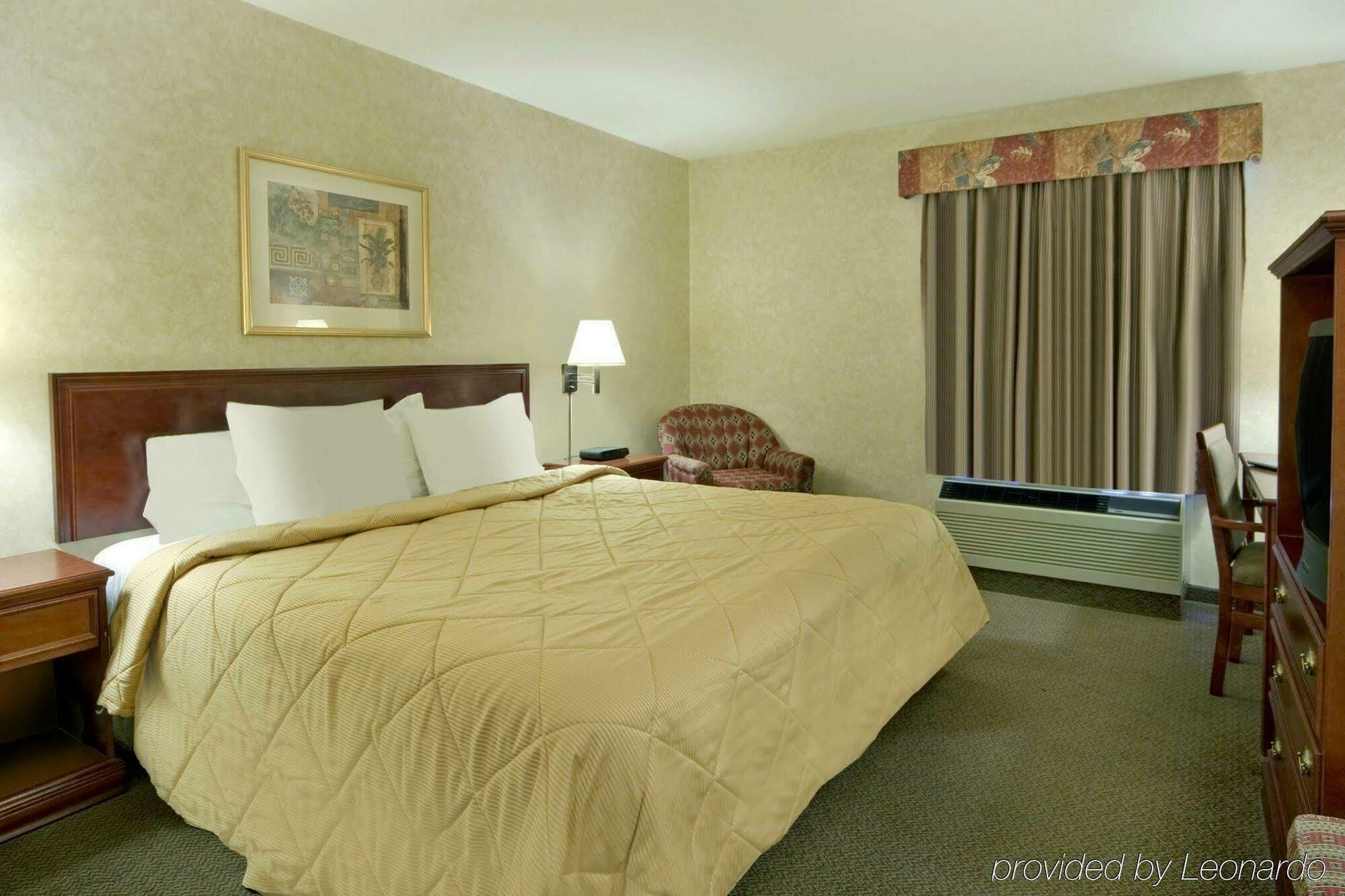 Comfort Inn & Suites University YYC Pokoj fotografie